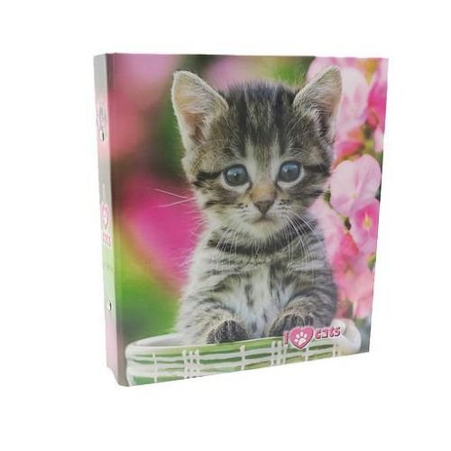 Classeur 2 anneaux scolaire PM A5 ANCOR