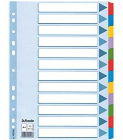 Jeu de 12 Intercalaires ESSELTE